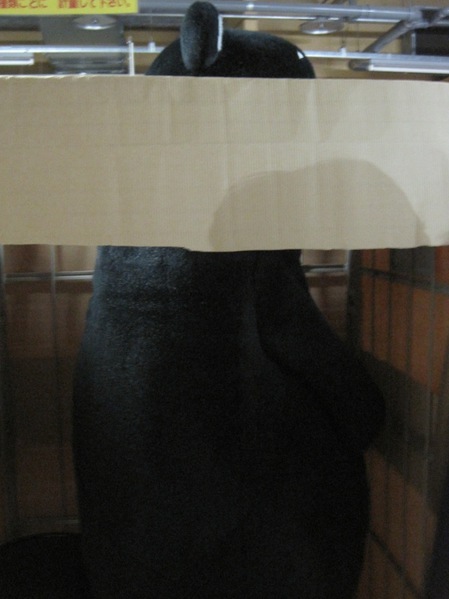 画像 001.01.25.jpg